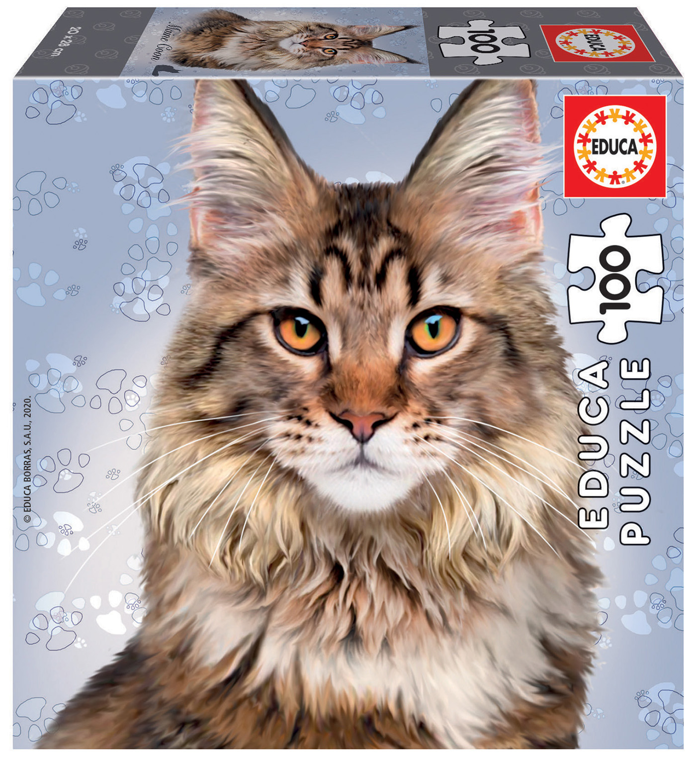 Puzzle, Educa, Maine Coon, 100 pieces