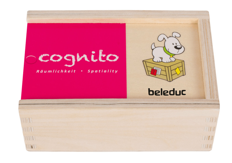 Wooden matching game, Beleduc, Cognito, Spatiality, 20 pieces