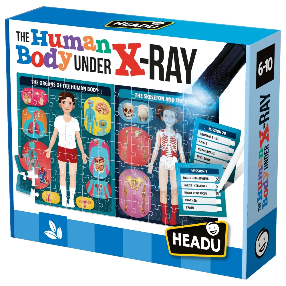 Educational game, Headu, The human body under X-ray, Montessori