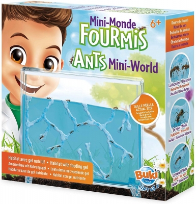 Research kit, Buki France, Mini world of ants