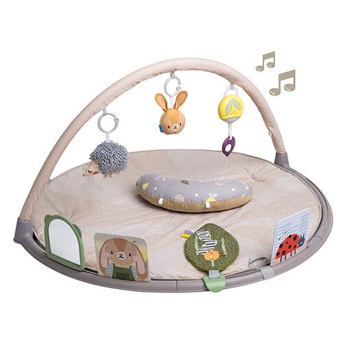 Gimnastica activă muzicală, Taf Toys, Bunny Jenny și prietenii, 6 activități