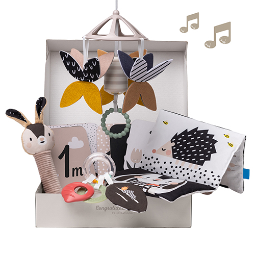 Set nou nascut, Taf Toys, elemente alb-negru, 10 piese