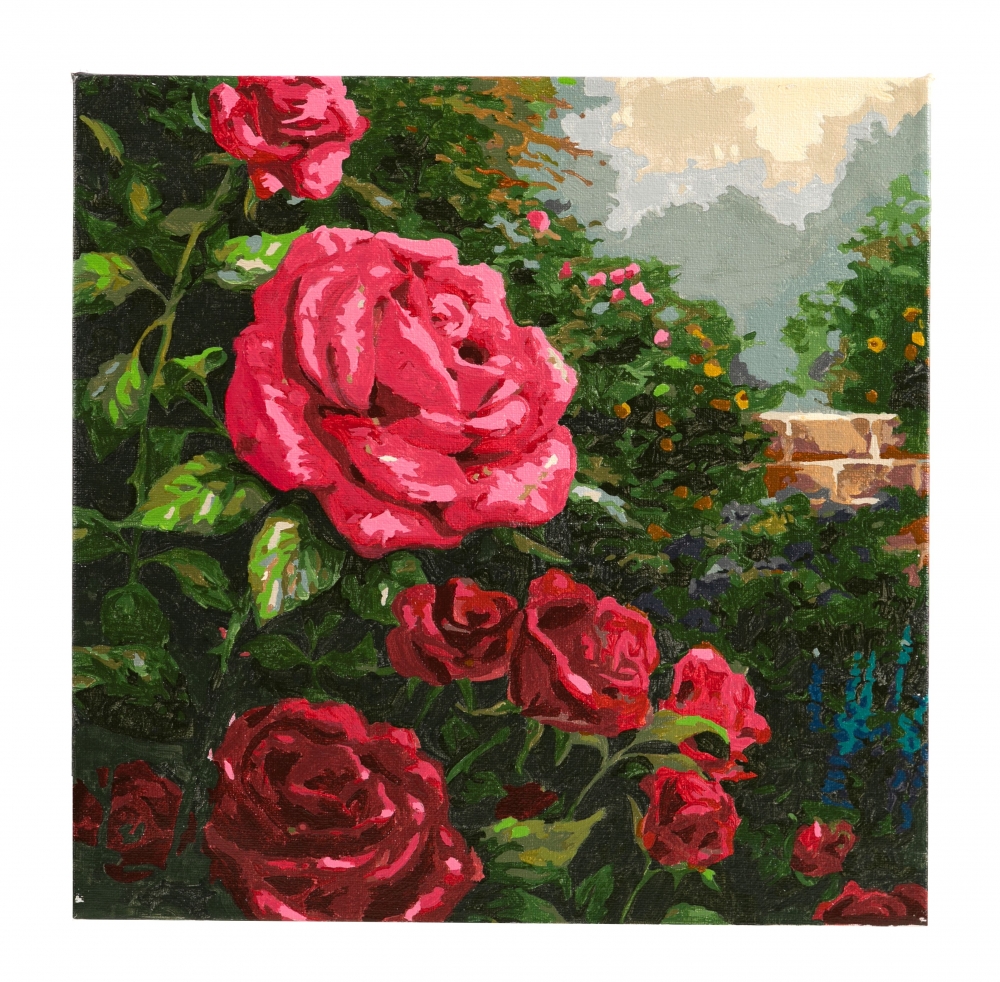 Set pictura pe numere, Craft Buddy, Trandafir rosu, 30 x 30 cm