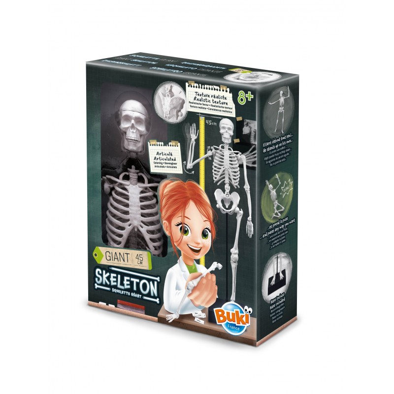 Schelet Gigant 45 cm - Anatomie pentru copii