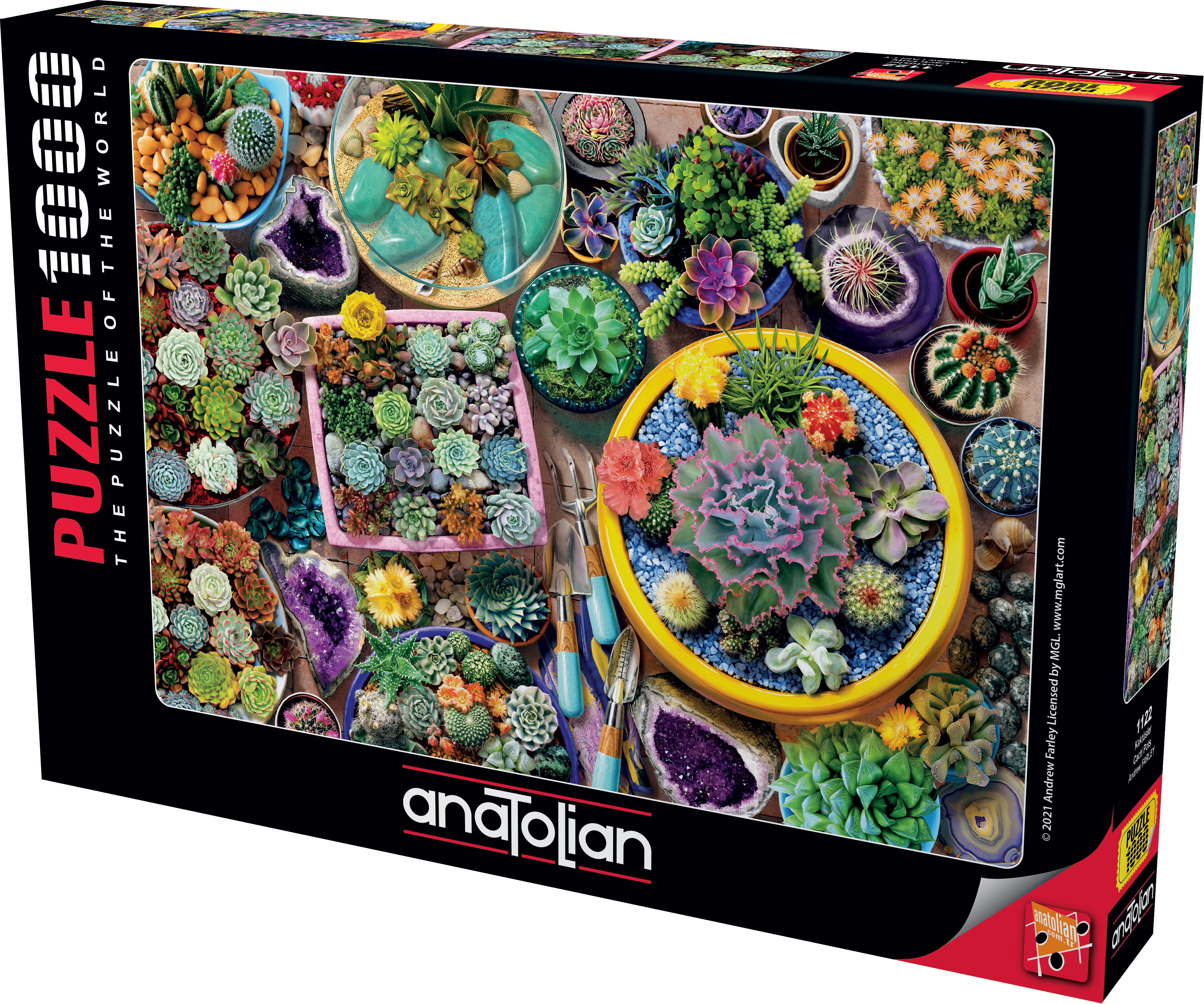 Puzzle, Anatolian, Cacti, 1000 pieces